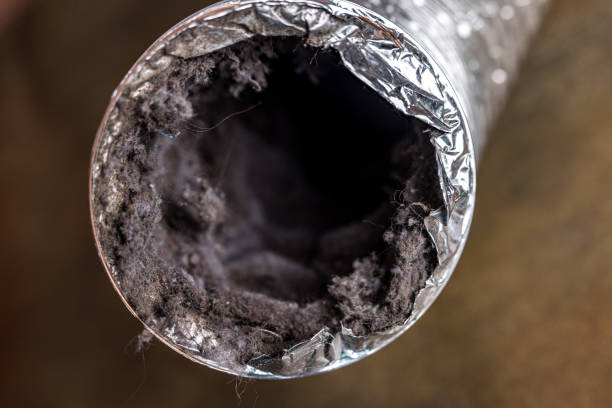 Best Professional Duct Cleaning Services  in Doniphan, MO
